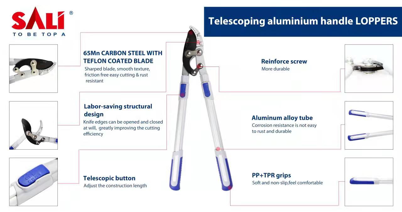 202203250937081083337881a549c8afd9ed654d56b17a 202203250937081083337881a549c8afd9ed654d56b17a